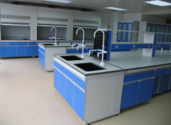 實(shí)驗(yàn)室全鋼實(shí)驗(yàn)臺 實(shí)驗(yàn)室全鋼實(shí)驗(yàn)臺