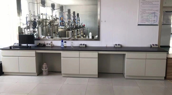 山東全鋼實(shí)驗(yàn)臺(tái)加工 山東全鋼實(shí)驗(yàn)臺(tái)加工